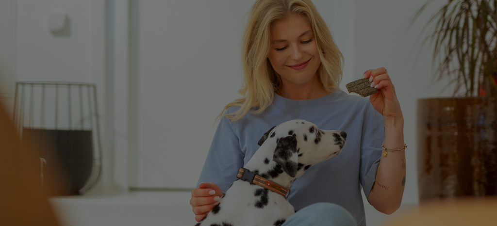 Softe & Leicht zu Kauende Ofengebackene Hundesnacks